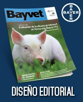 Bayvet